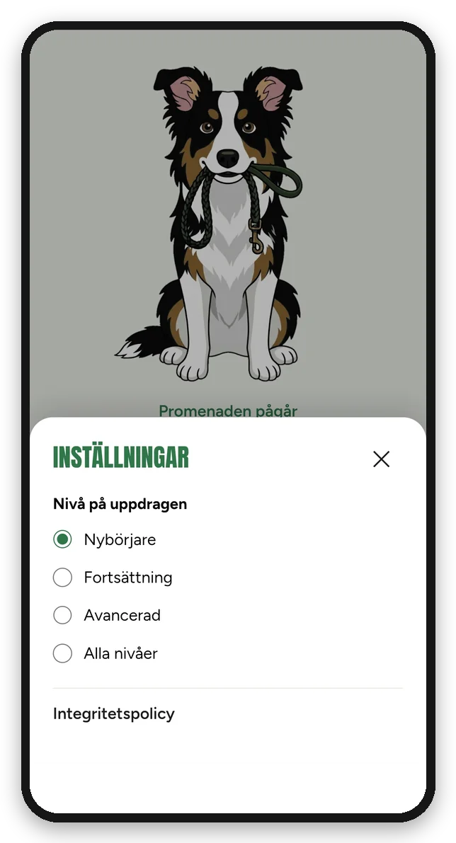 Inställningarna i appen, där man väljer nivå: Nybörjare, Fortsättning, Avancerad eller Alla nivåer.